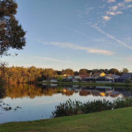 Cozy And Conveniently Located Pool Home With Free Wifi Tampa Extérieur photo