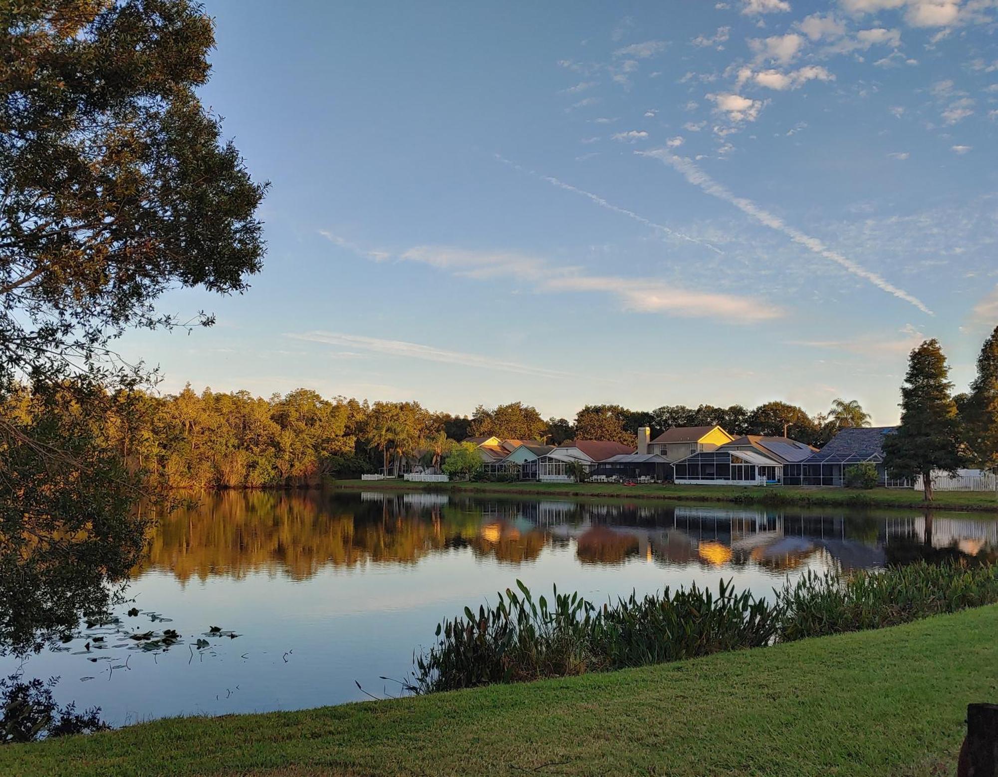 Cozy And Conveniently Located Pool Home With Free Wifi Tampa Extérieur photo