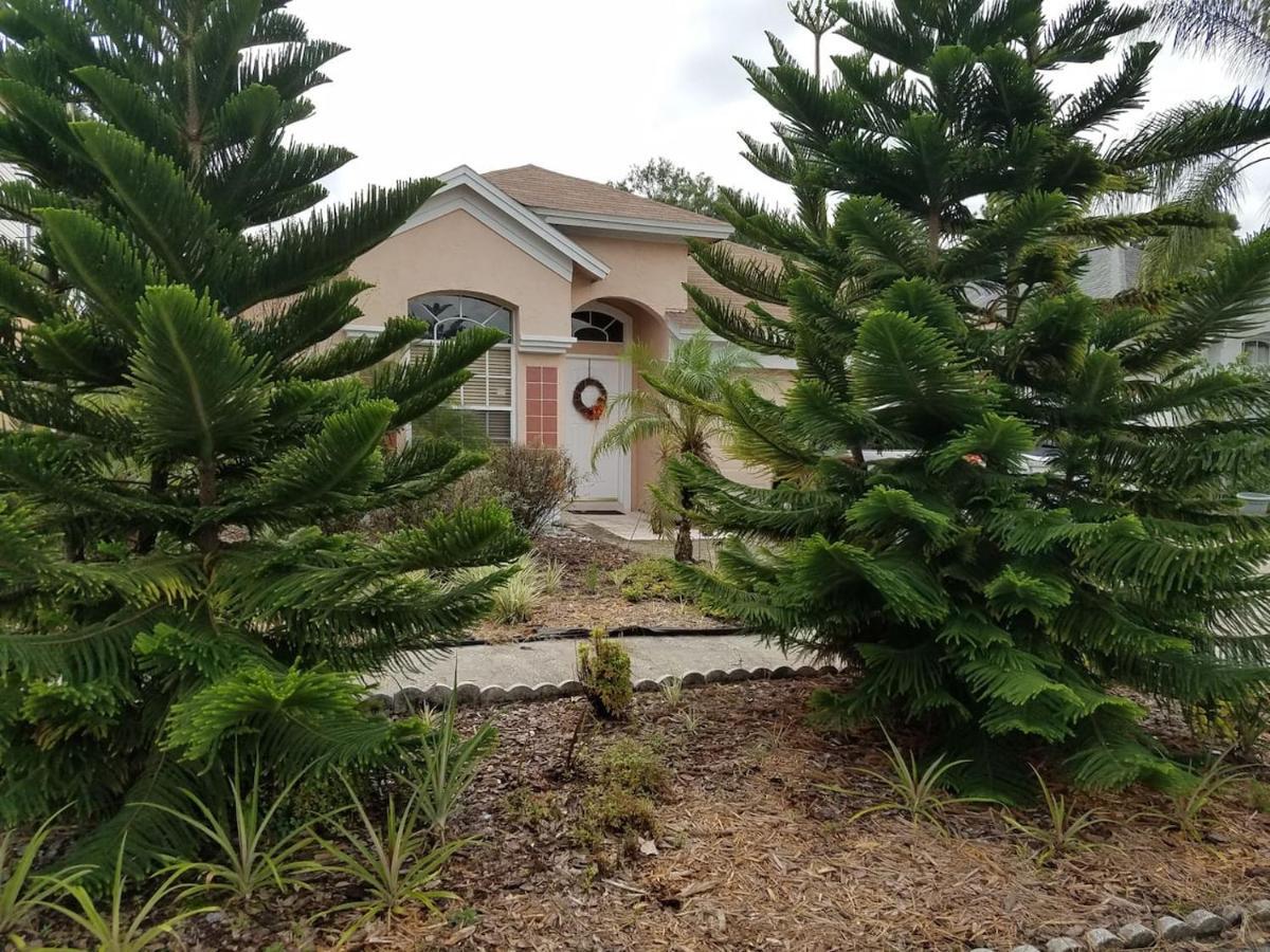 Cozy And Conveniently Located Pool Home With Free Wifi Tampa Extérieur photo